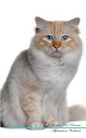 Birman Cat Affirmations Workbook Birman Cat Presents