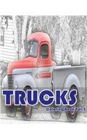 Trucks Coloring Book Vol.5: Trucks Grayscale Coloring Books for Adults Relaxation Art Therapy for Busy People: (English)