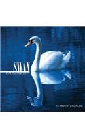 Swan Calendar 2017: 16 Month Calendar