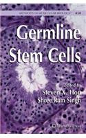 Germline Stem Cells