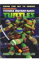 Teenage Mutant Ninja Turtles Animated Volume 1: Rise of the Turtles