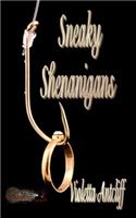 Sneaky Shenanigans