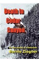 Death in Cedar Canyon