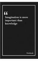 Imagination is more important than knowledge