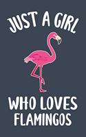 Just A Girl Who Loves Flamingos