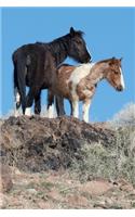 Two Wild Horses in the High Desert Journal