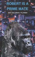 2020 / 2021 Two Year Weekly Planner For Robert Name - Funny Gorilla Pun Appointment Book Gift - Two-Year Agenda Notebook