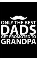 Only The Best Dads Get Promoted To Grandpa