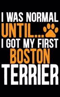 I Was Normal Until I Got My First Boston Terrier