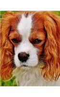 Cavalier King Charles Spaniel Dog Dot Grid Bullet Journal