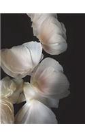 Ranunculus Notebook large Size 8.5 x 11 Ruled 150 Pages