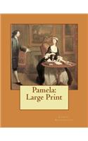 Pamela: Large Print