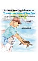 The Adventures of Tua Pru