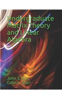 Undergraduate Matrix Theory and Linear Algebra