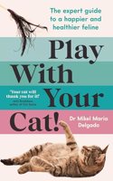 Play With Your Cat!