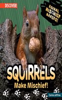 Squirrels Make Mischief!