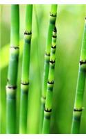 Bamboo Notebook
