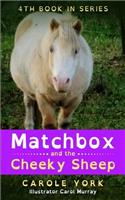 Matchbox and the Cheeky Sheep