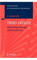 Tribo-Fatigue