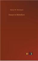 Essays in Rebellion