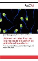 Adicion de Jalea Real En El Procesado de Semen de Animales Domesticos
