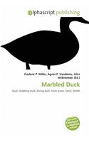 Marbled Duck: (English)