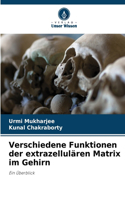 Verschiedene Funktionen der extrazellulären Matrix im Gehirn