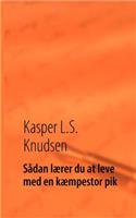 Sådan lærer du at leve med en kæmpestor pik