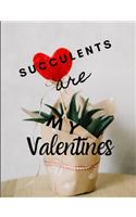 Succulents Are My Valentines - For Succulent Lovers