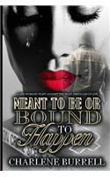 Meant to Be or Bound to Happen: A One Woman's Fight Against The Many Obstacles OF life