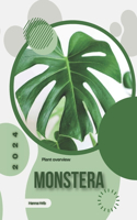 Monstera