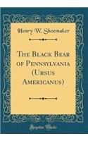 The Black Bear of Pennsylvania (Ursus Americanus) (Classic Reprint)