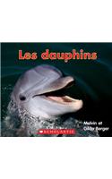 Lire Et D?couvrir: Les Dauphins: (Lire Et Decouvrir)