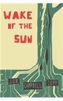 Wake of the Sun