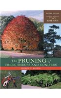 Pruning of Trees, Shrubs and Conifers
