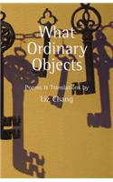 What Ordinary Objects