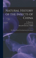 Natural History of the Insects of China
