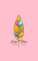 Carpe Diem Good Vibes: Lined Journal - Carpe Diem Good Vibes Cute Positivity Saying Girls Gift - Pink Ruled Diary, Prayer, Gratitude, Writing, Travel, Notebook For Men Wom