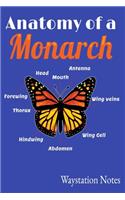 Anatomy Of A Monarch