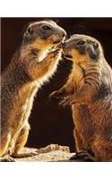Notebook: Meerkat whisper animals cute funny upright mongoose mammal kalahari desert lizard