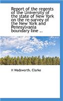 Report of the Regents of the University of the State of New York on the Re-Survey of the New York an: (English)