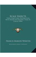 Scale Insects