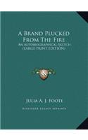 A Brand Plucked from the Fire