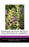Nandina in New Mexico