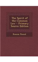 The Spirit of the Common Law