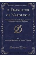 A Daughter of Napoleon: Memoirs of Emilie de Pellapra, Comtesse de Brigode Princess de Chimay (Classic Reprint)