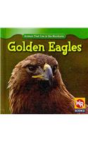 Golden Eagles