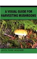 Visual Guide for Harvesting Mushrooms