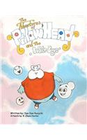 The Adventures of Pillow Head: And the Bubble Boys: R. Chase Hunter