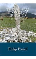 Ogham Stones of Ireland (Color Edition)